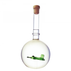 copy of Sticla aviatorului