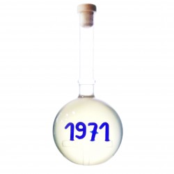 Balon an 1971