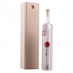 Mesaj in sticla pentru el